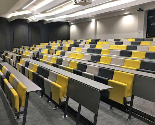 Lecture Chair Gallery 1